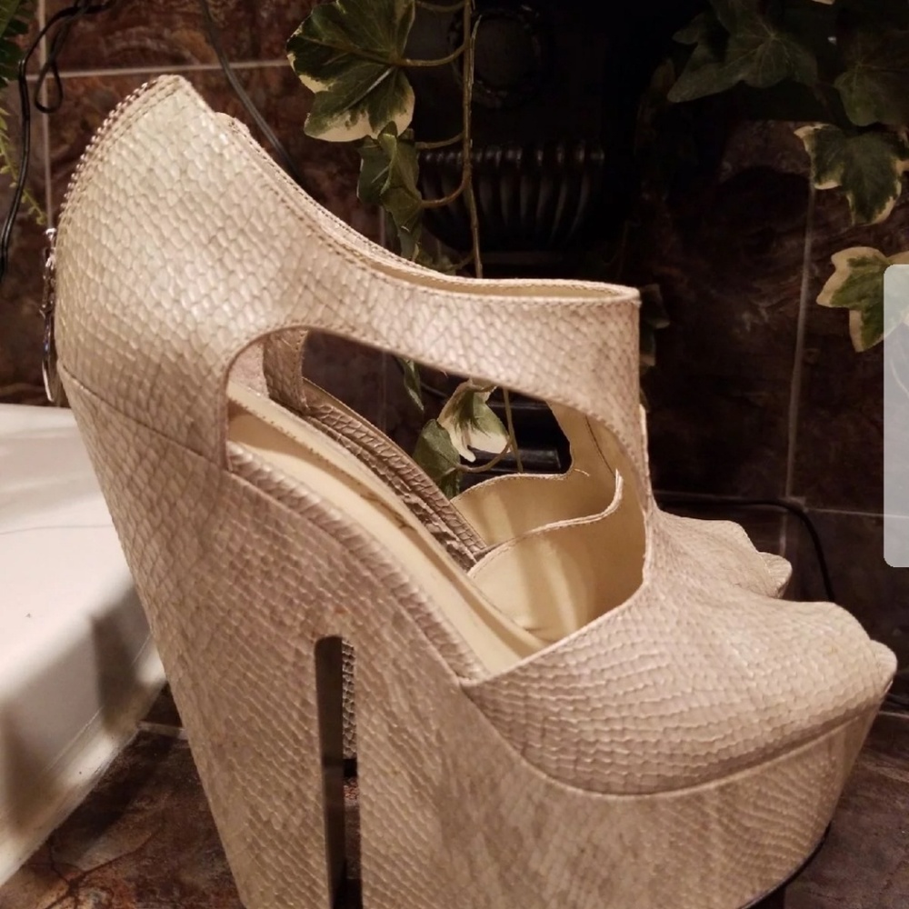Platforms - Picture 4 of 4